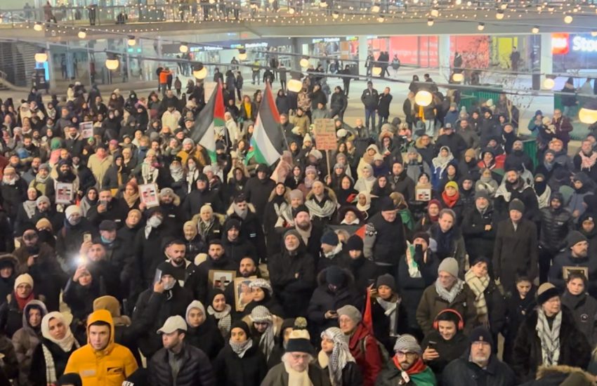 Bild pa palestinademonstration